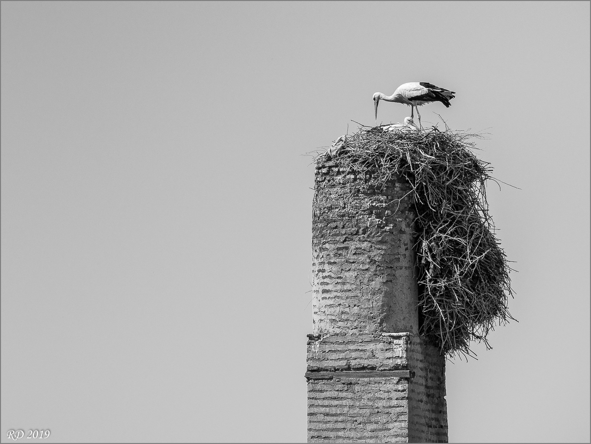 P3180123-2.jpg