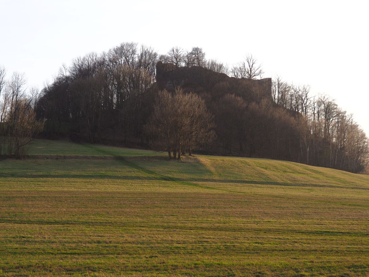 P3300118n.JPG