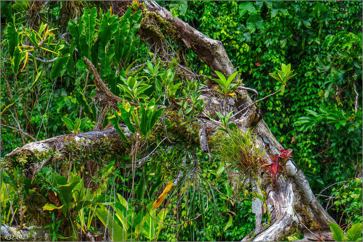 P4012072-Verbessert-RR-Bearbeitet.jpg