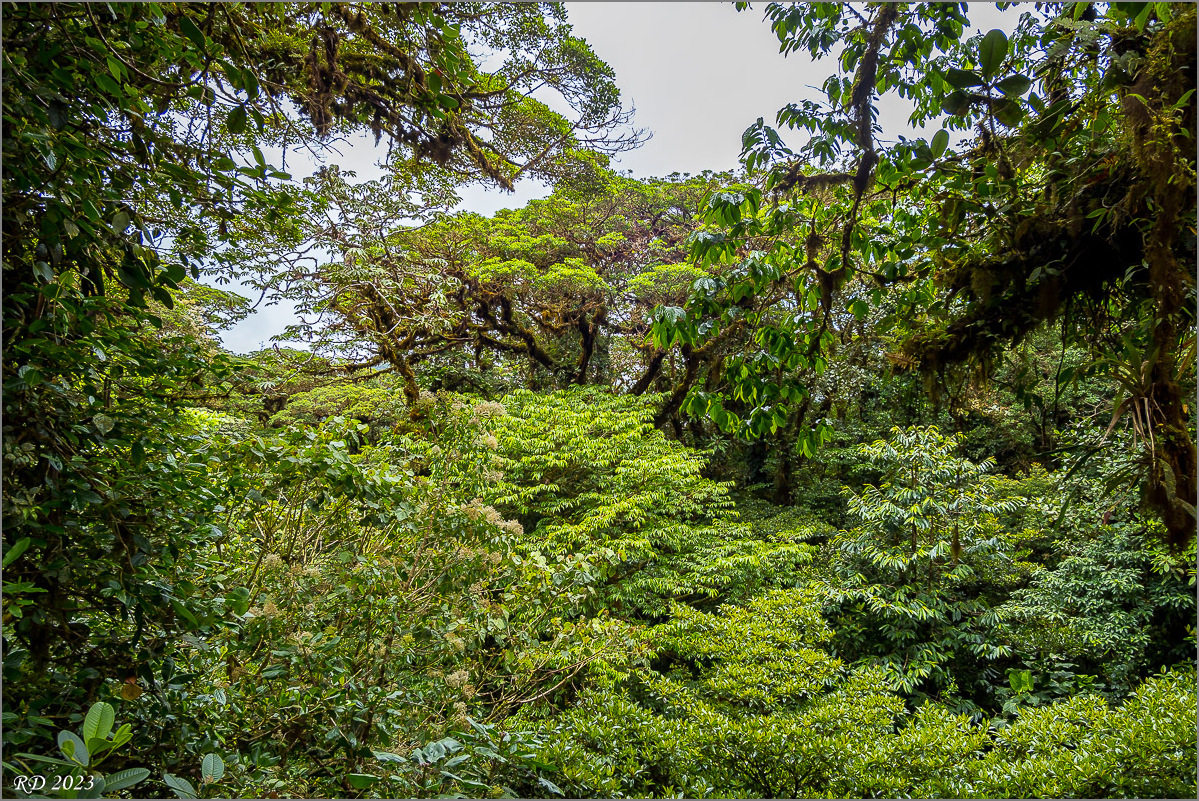 P4072541.jpg