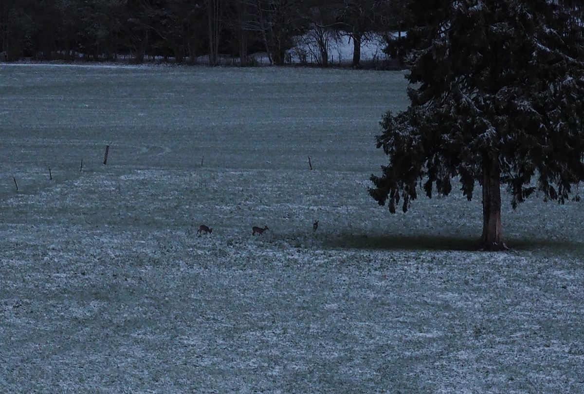 P4200002-Edit.jpg