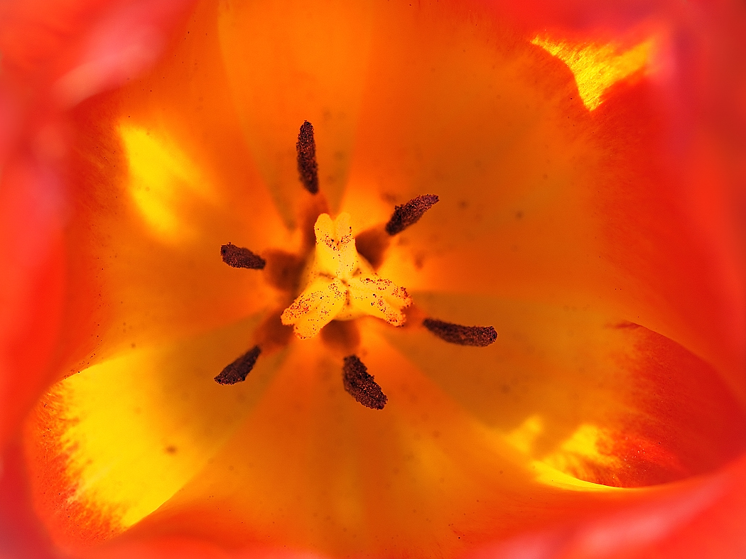 P4273949a_klein.jpg