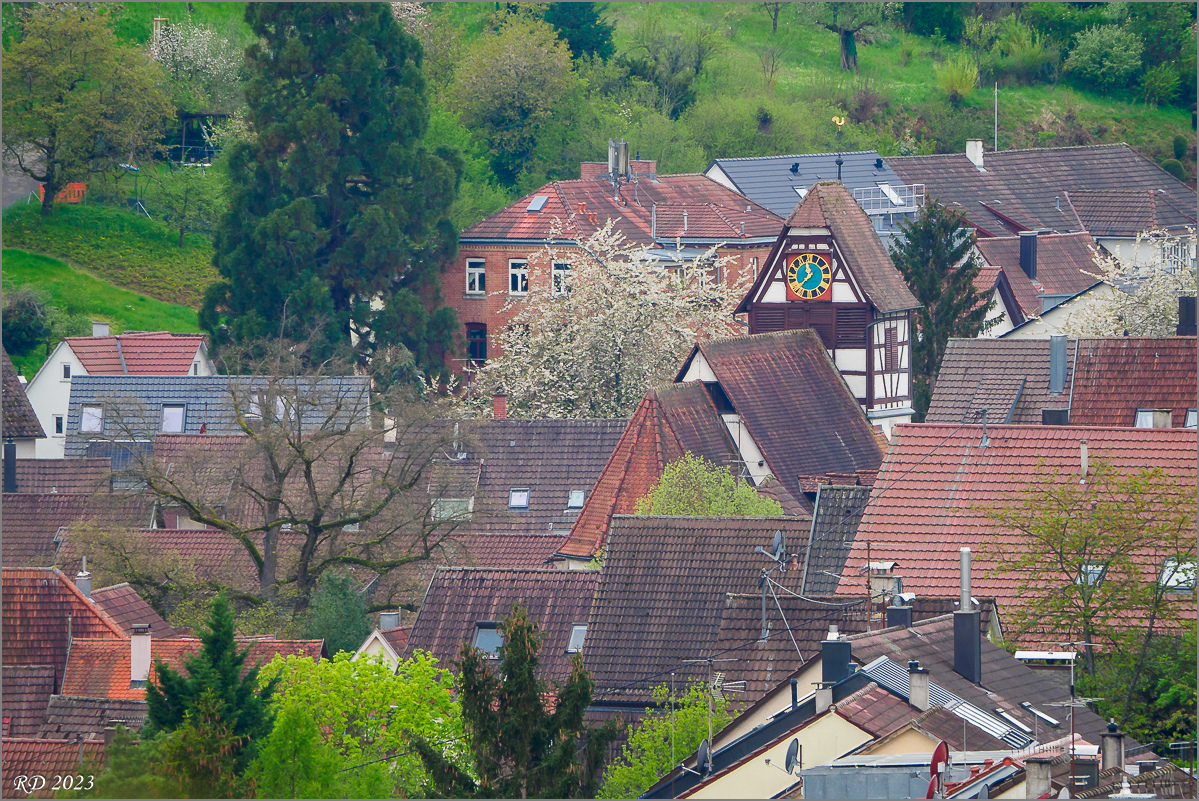 P4292915-2.jpg