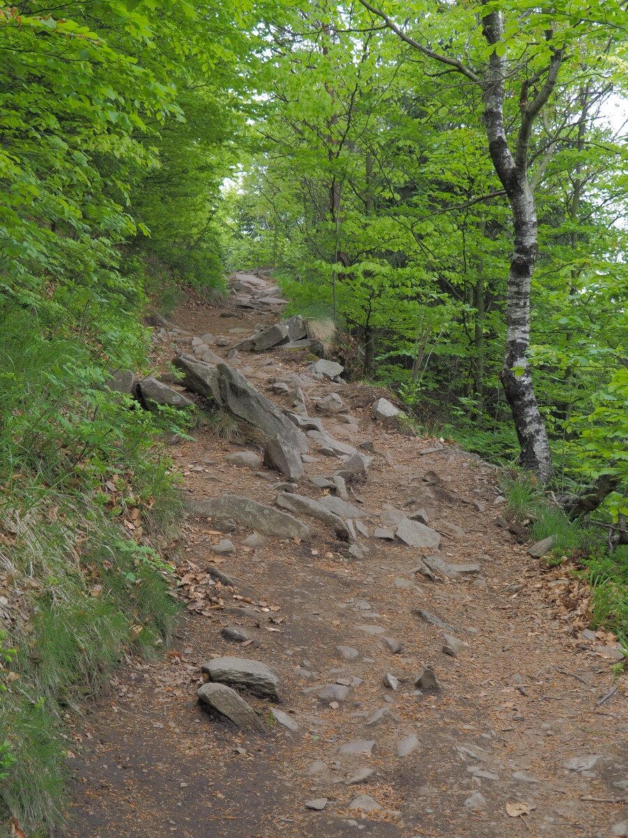 P5123209n.jpg
