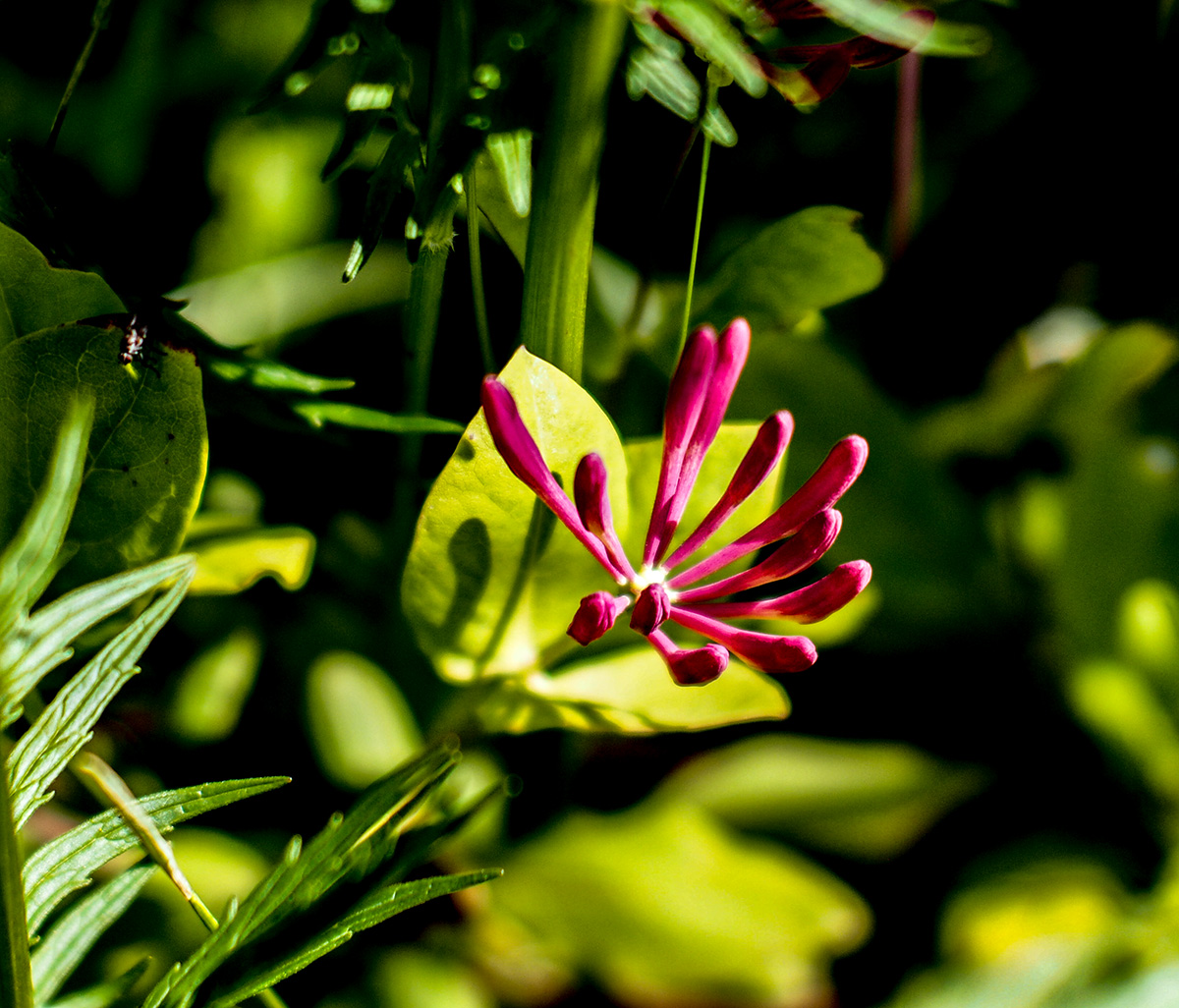 P6130047-Edit.jpg