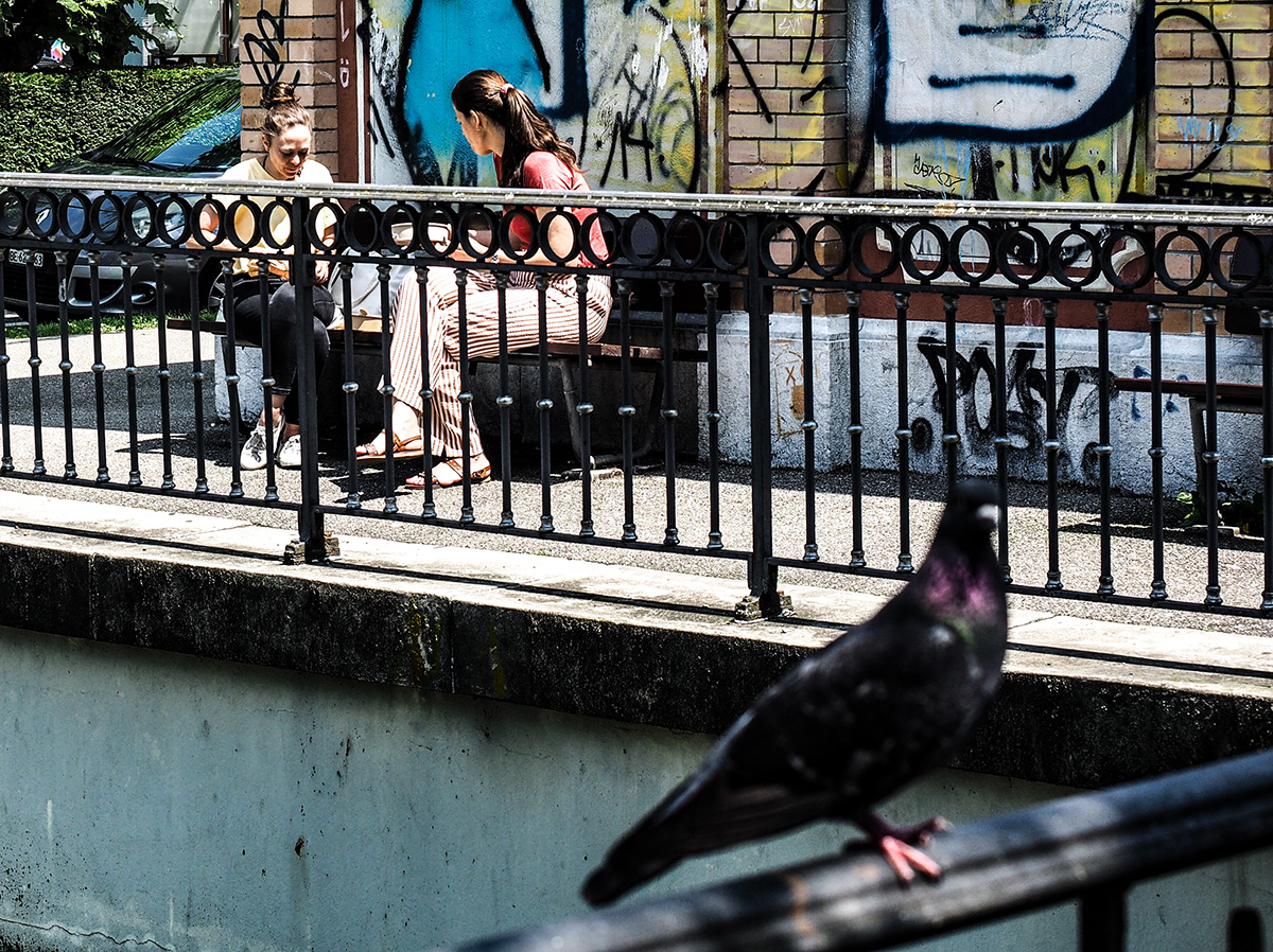 P7170060-Edit.jpg