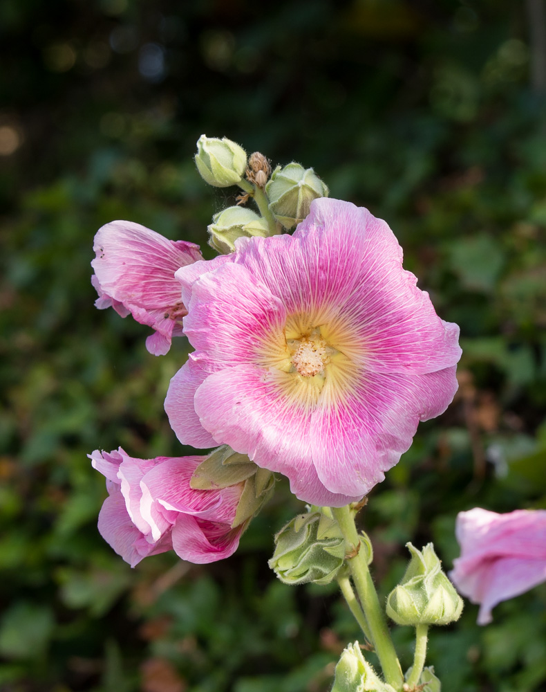 P7210201