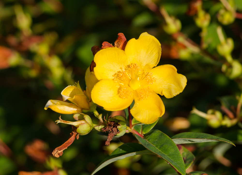 P7210234