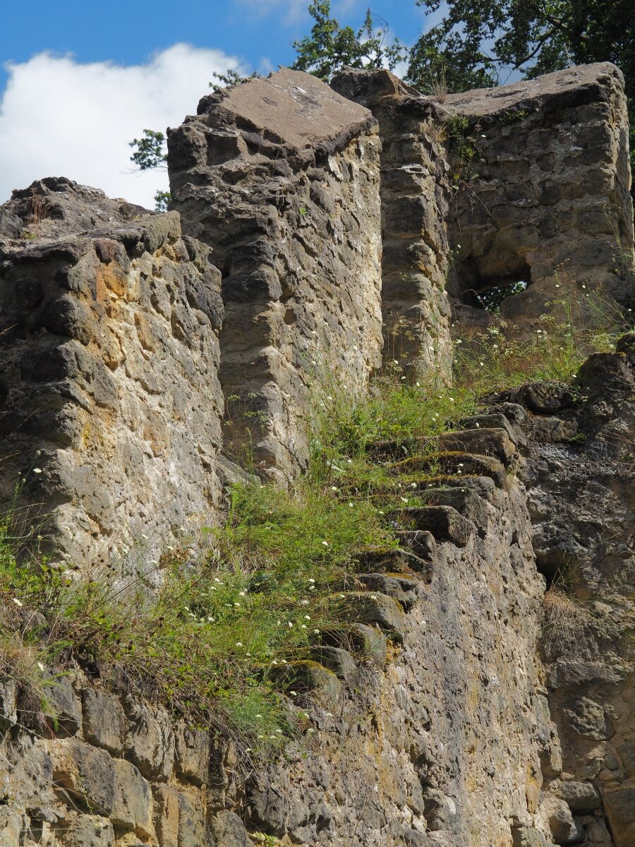P8053382n.jpg