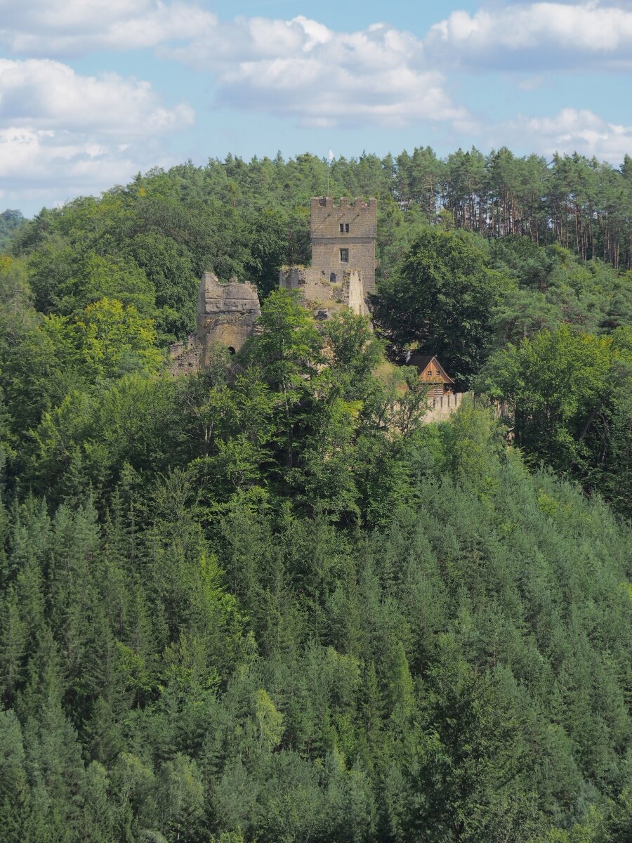 P8053403n.jpg