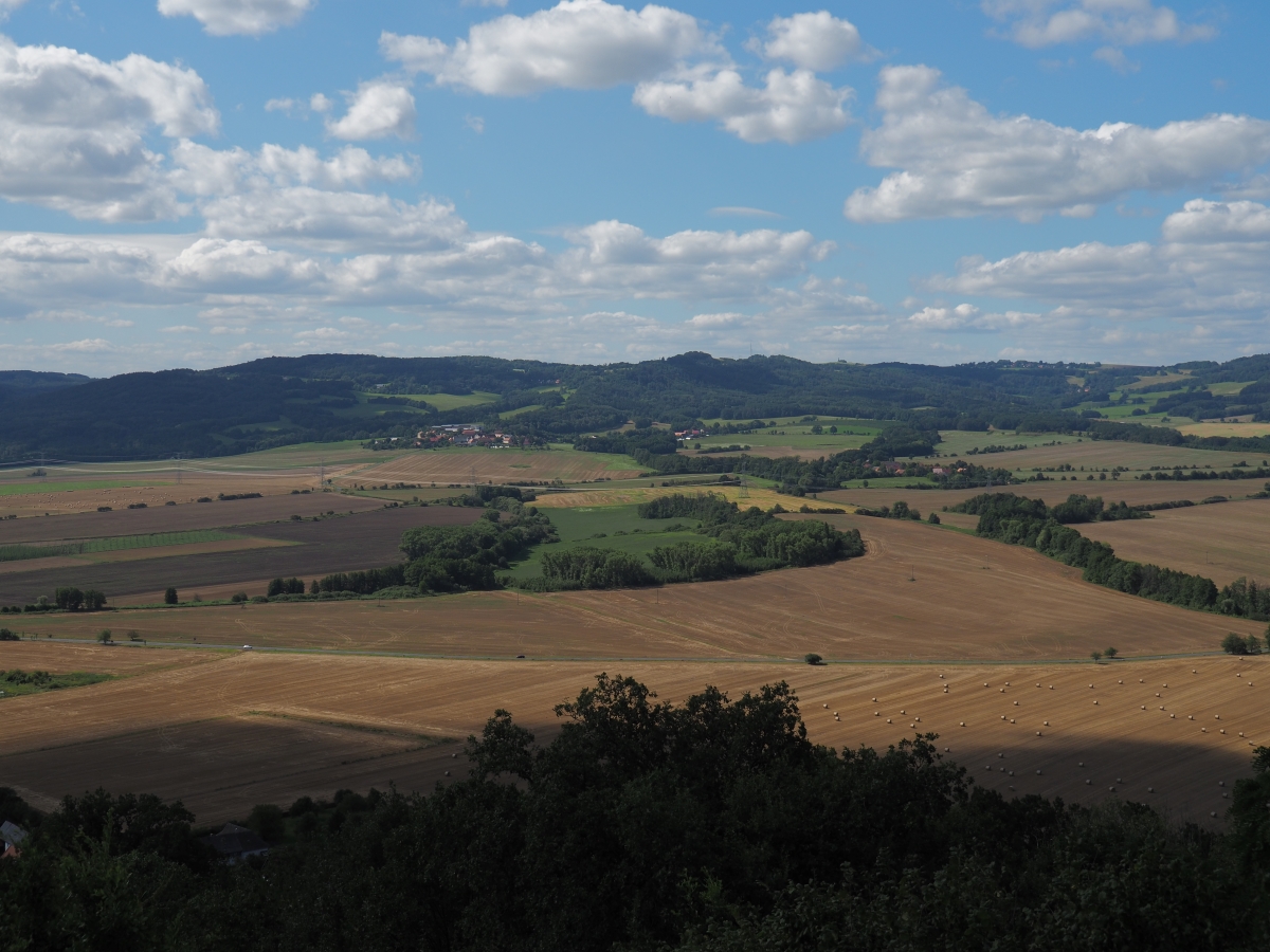 P8053413n.jpg