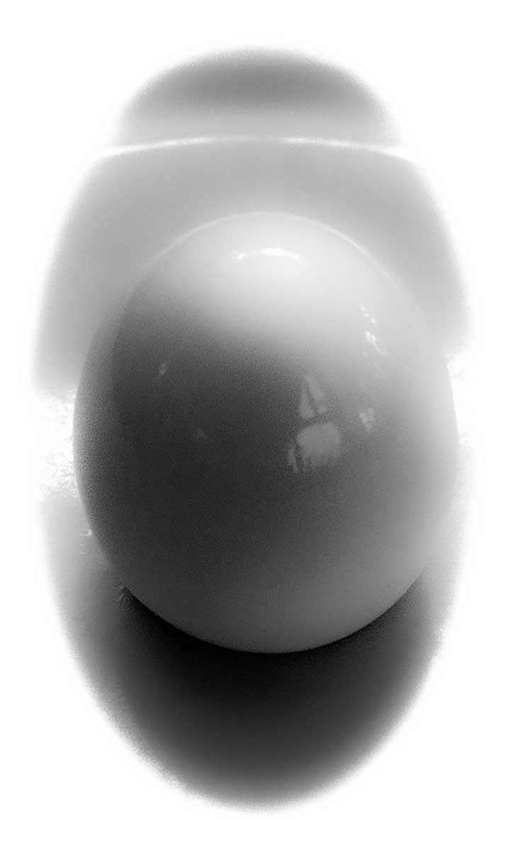 P8140002.jpg