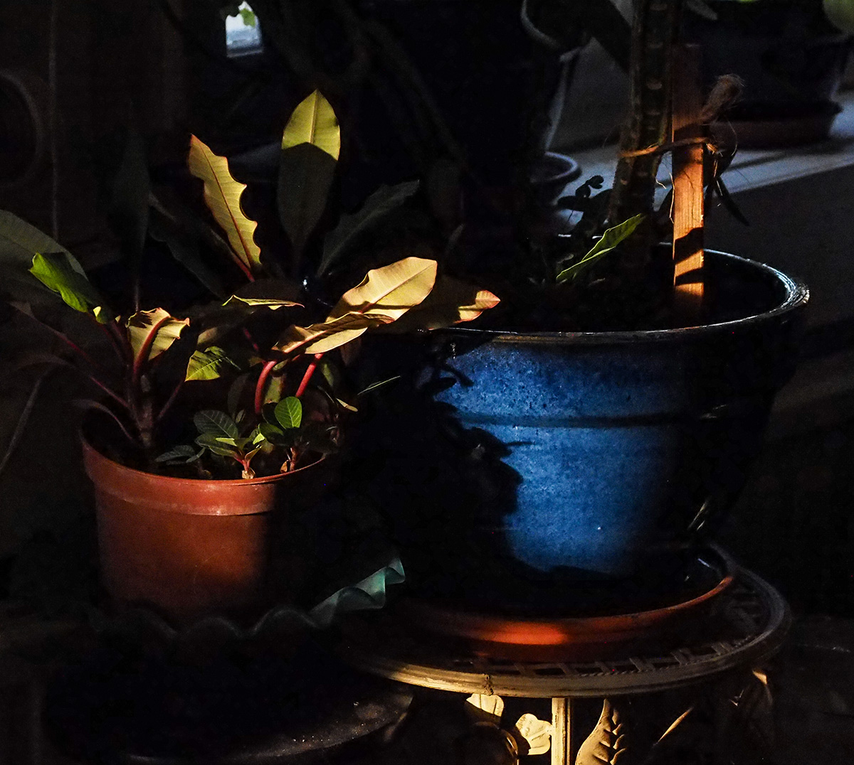 P8150001-Edit.jpg