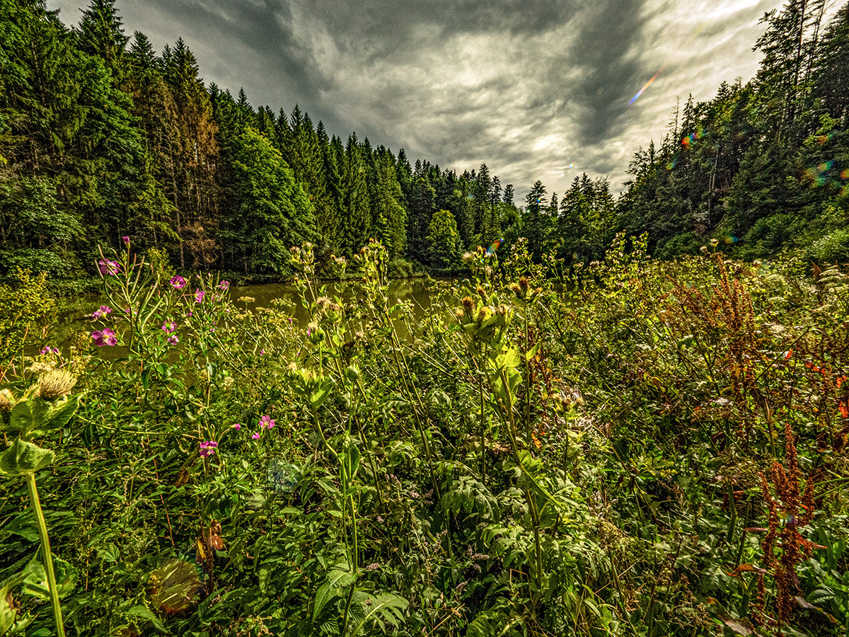 P8170081.jpg