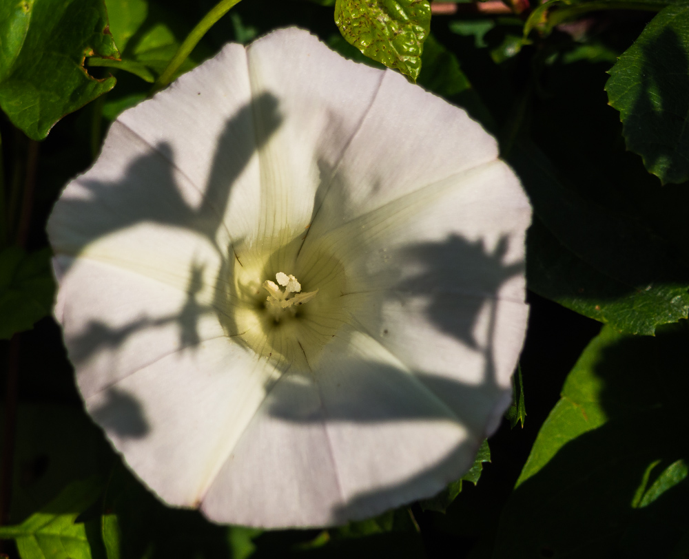 P8200026