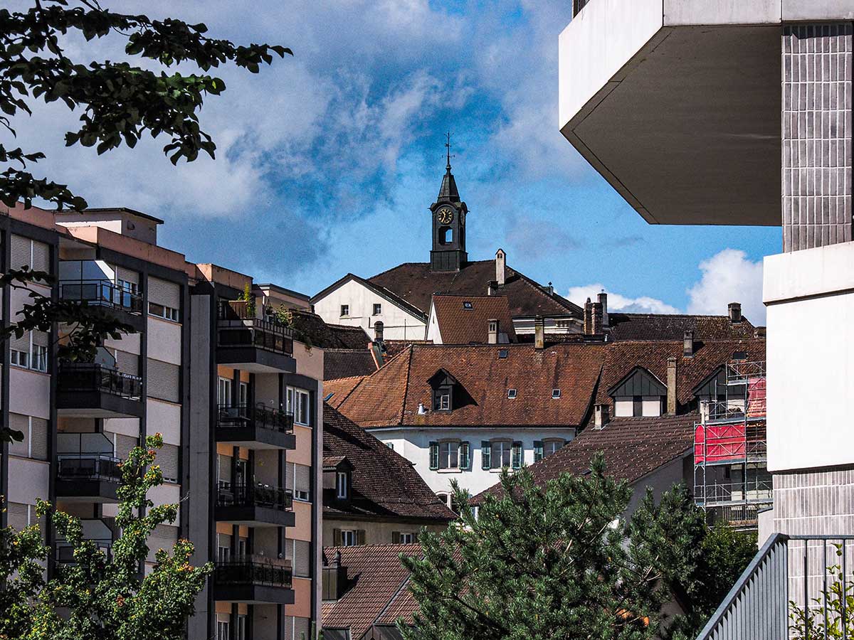 P8290159.jpg