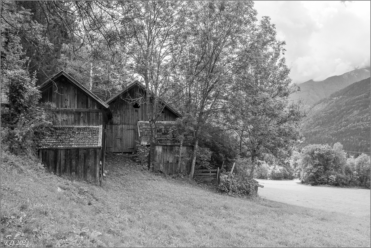 P9060650.jpg