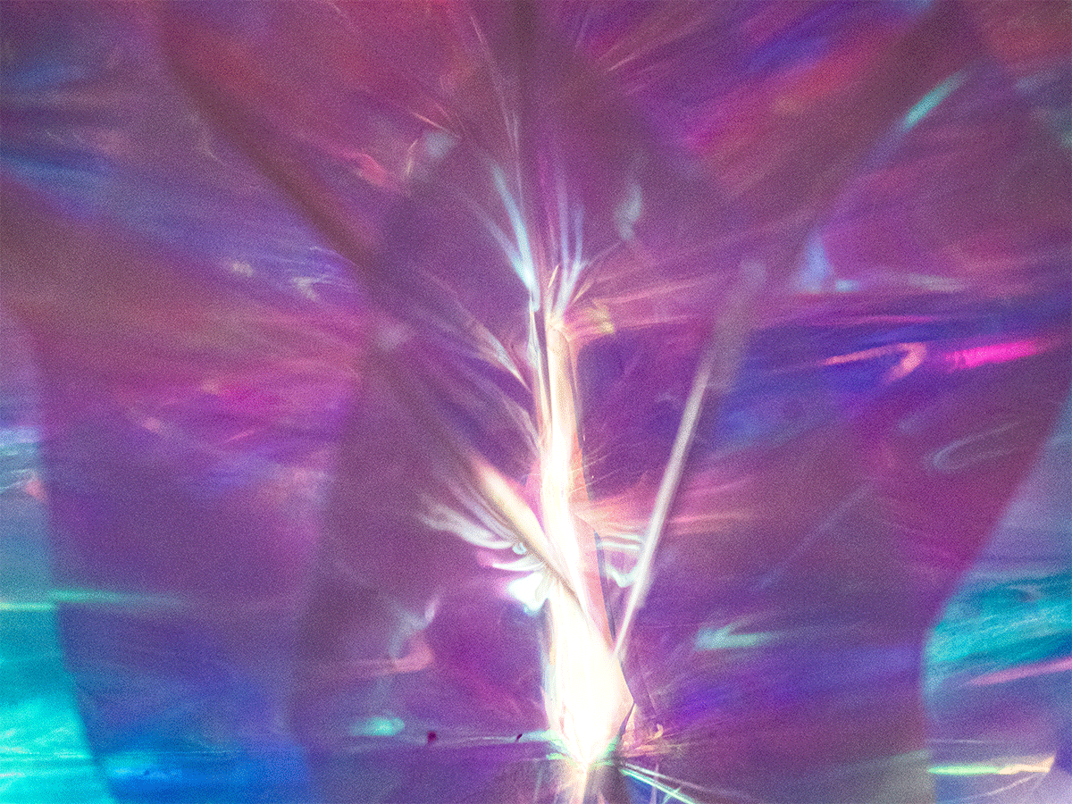 P9110071-1.gif