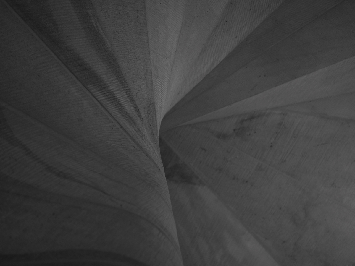 P9212193n.jpg