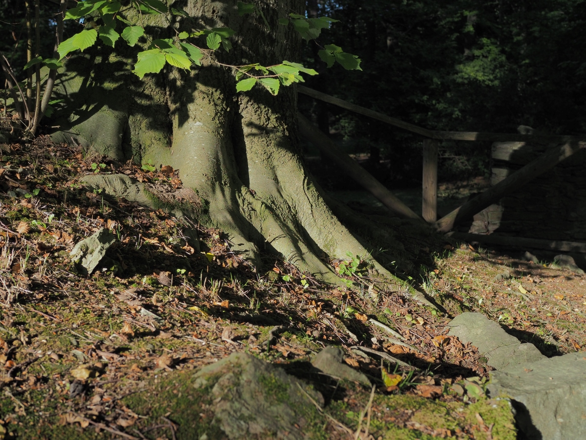P9212200n.jpg
