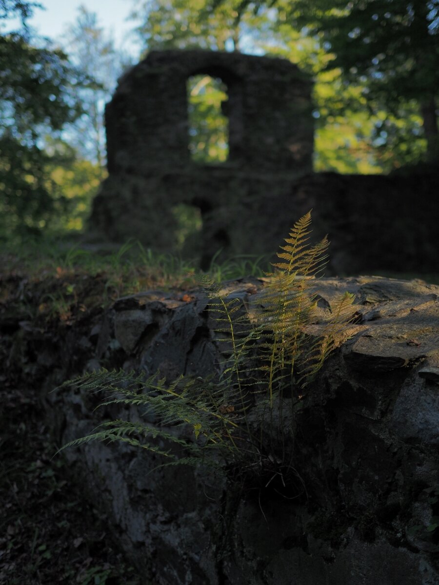 P9212246n.jpg