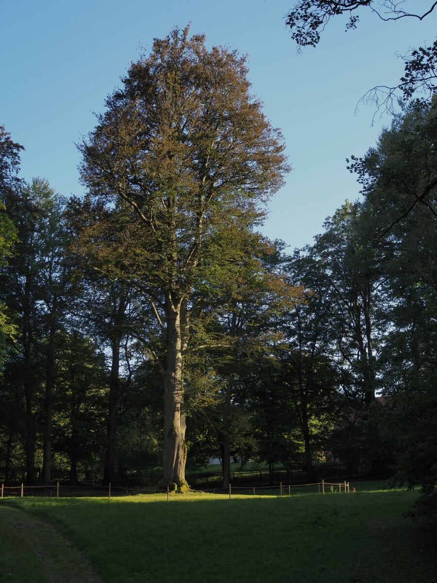 P9212250n.jpg