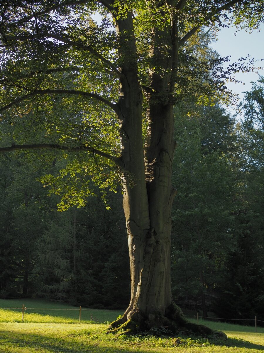 P9212257n.jpg