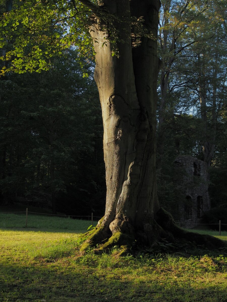 P9212259n.jpg