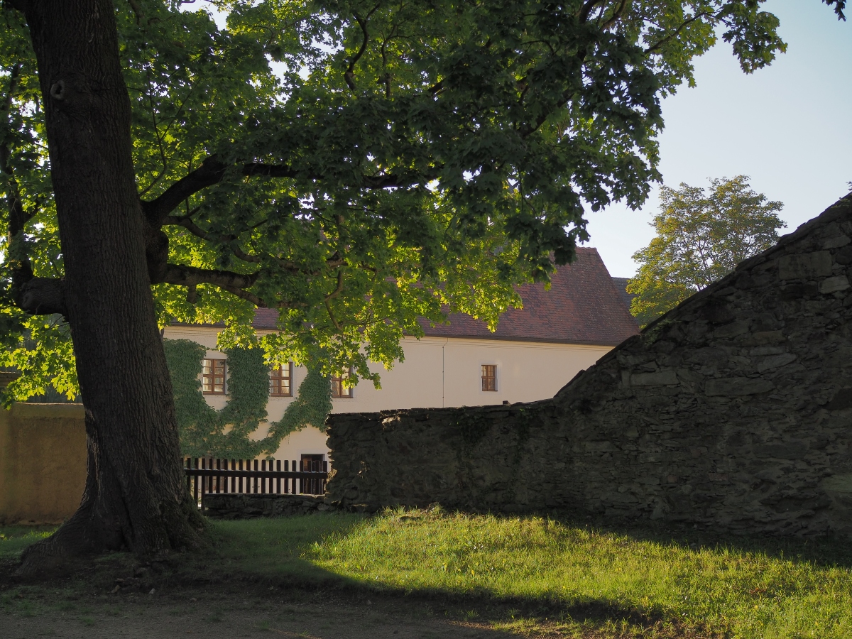 P9212261n.jpg