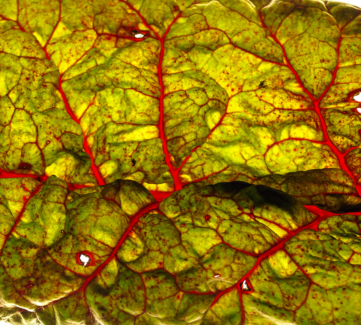 P9220009-Edit.jpg