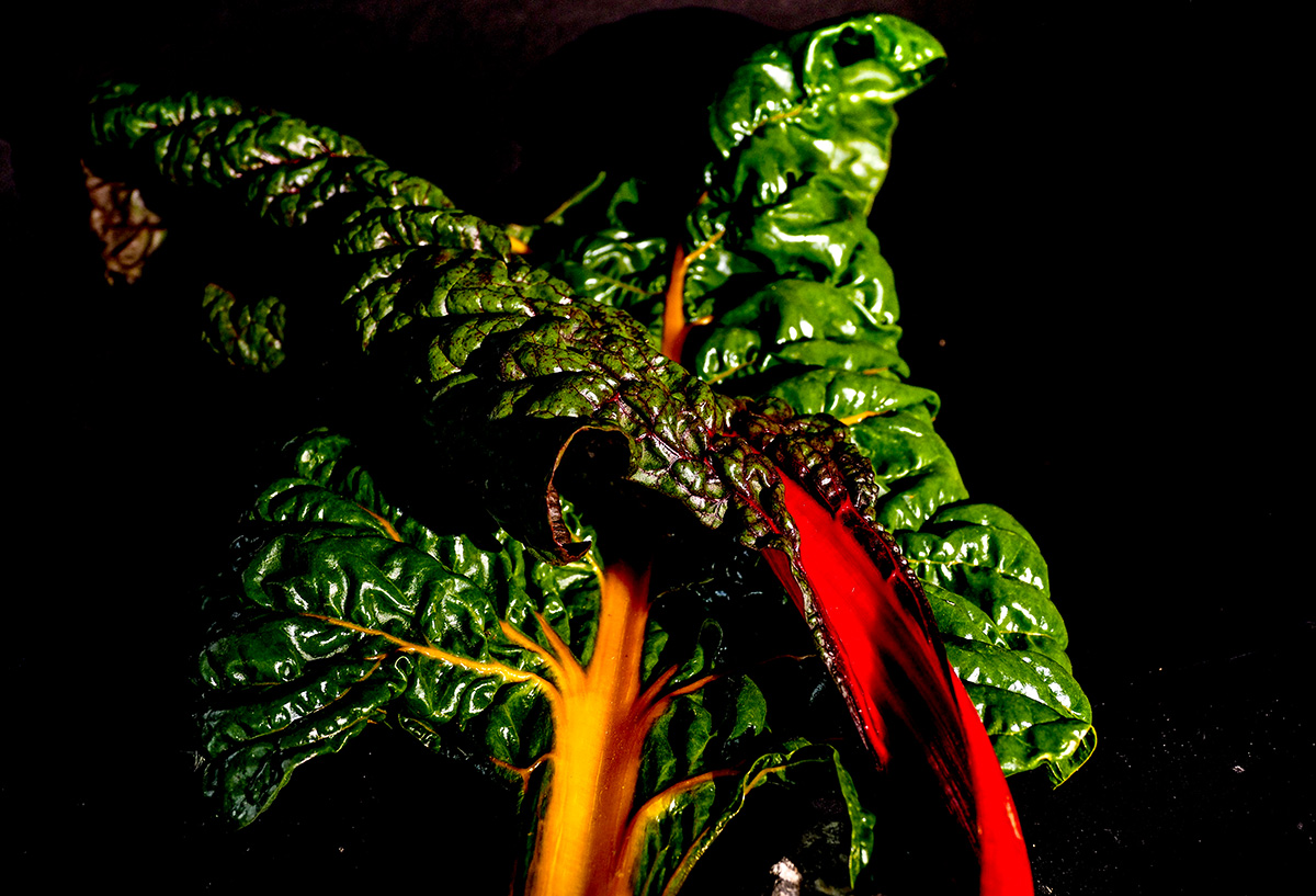 P9220012-Edit.jpg
