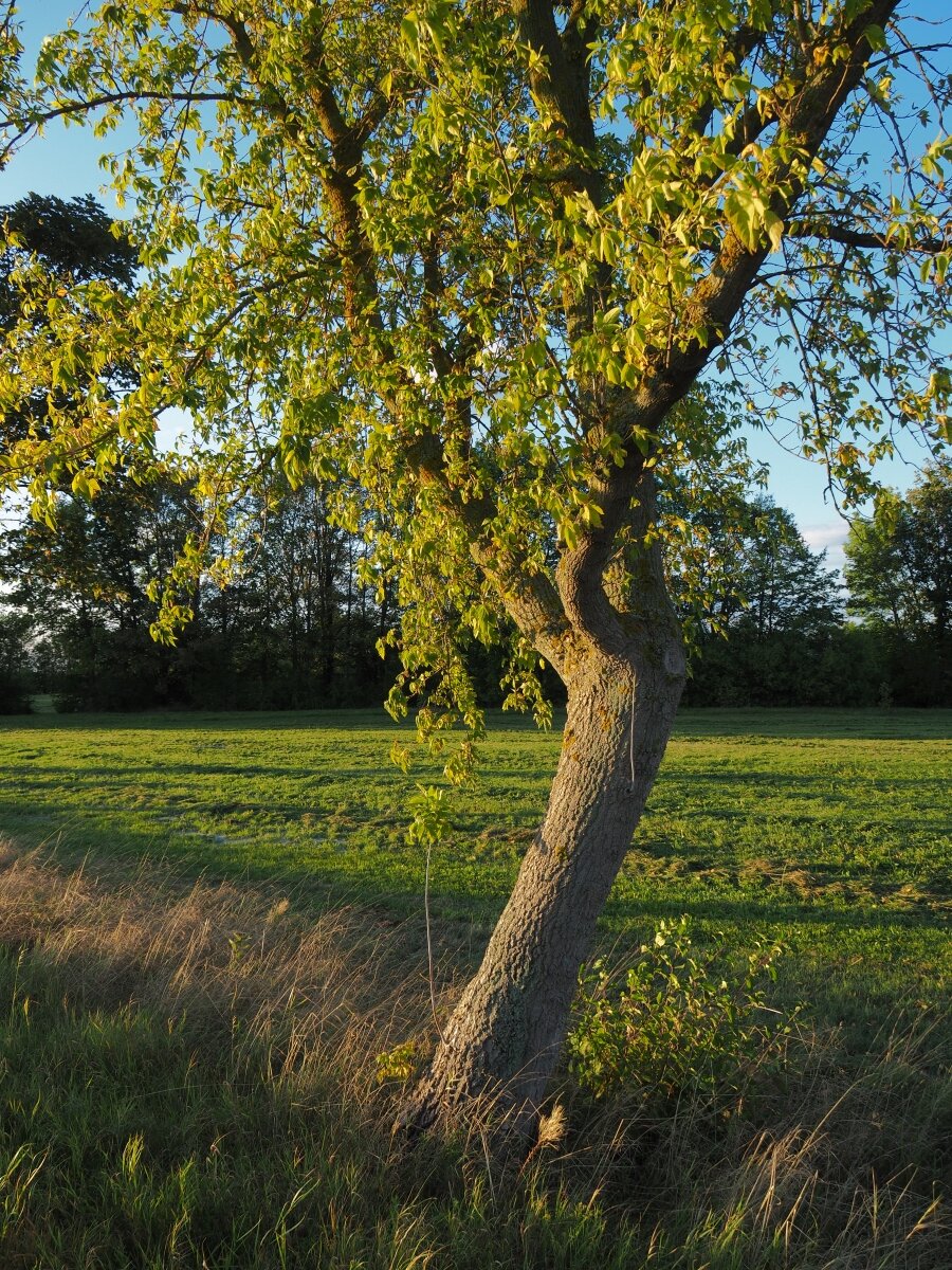 P9243465n.jpg