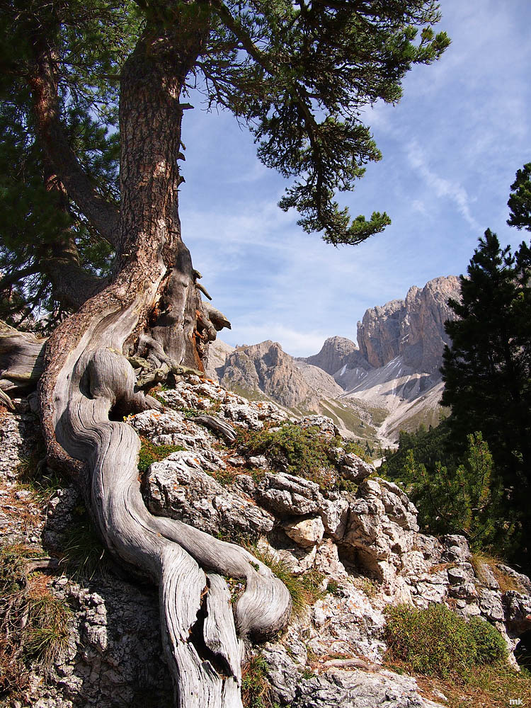 P9251905