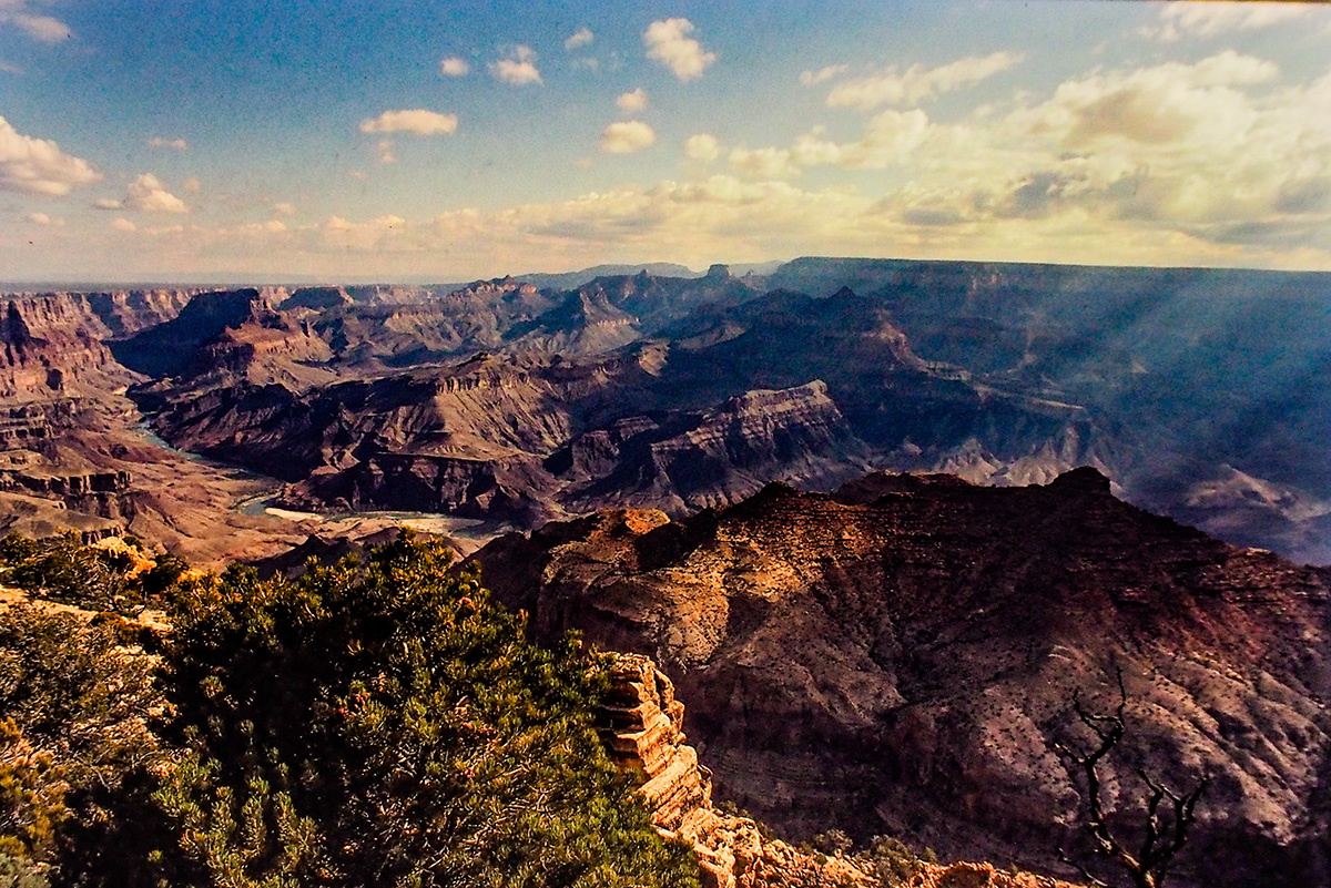PA010020.jpg