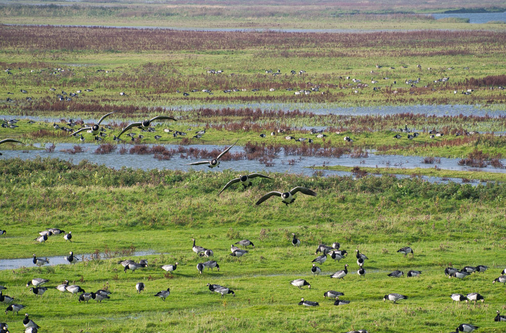 PA060164 2
