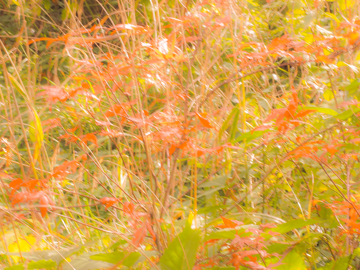 PA090058-Edit.jpg