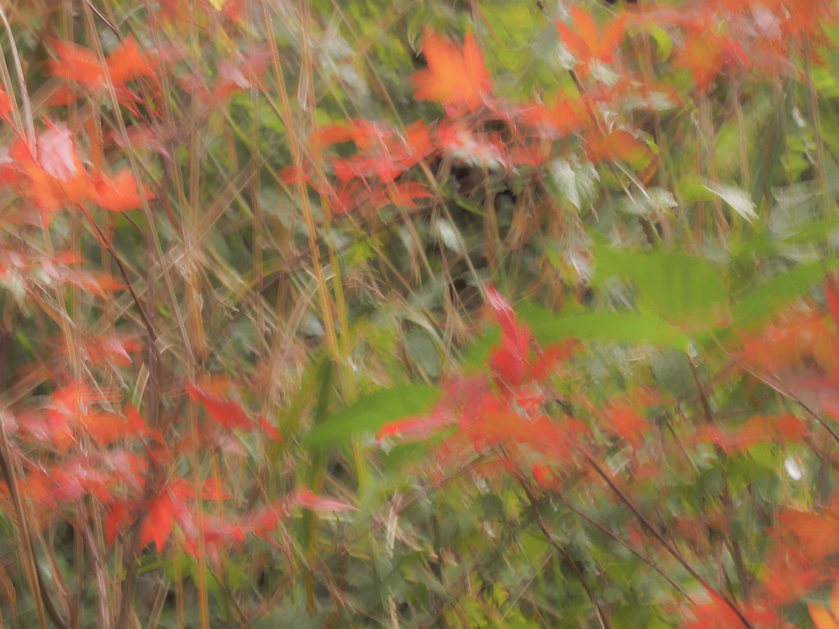 PA090065-Edit.jpg
