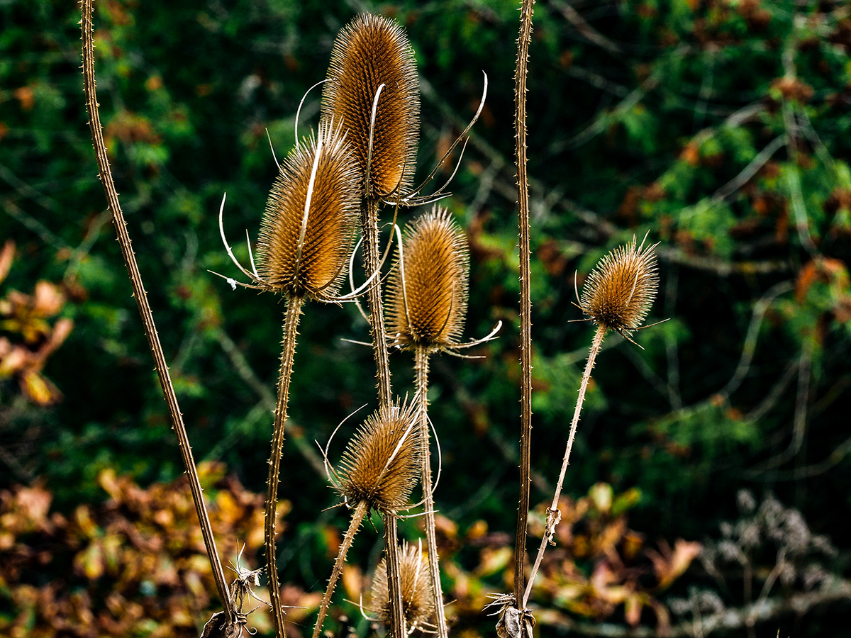 PA090099-Edit.jpg