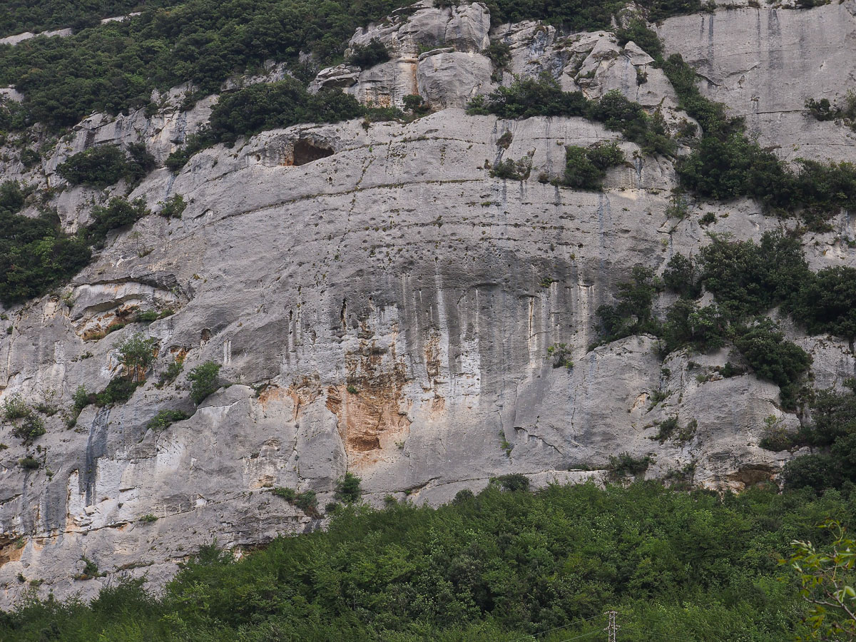 PA101959.jpg