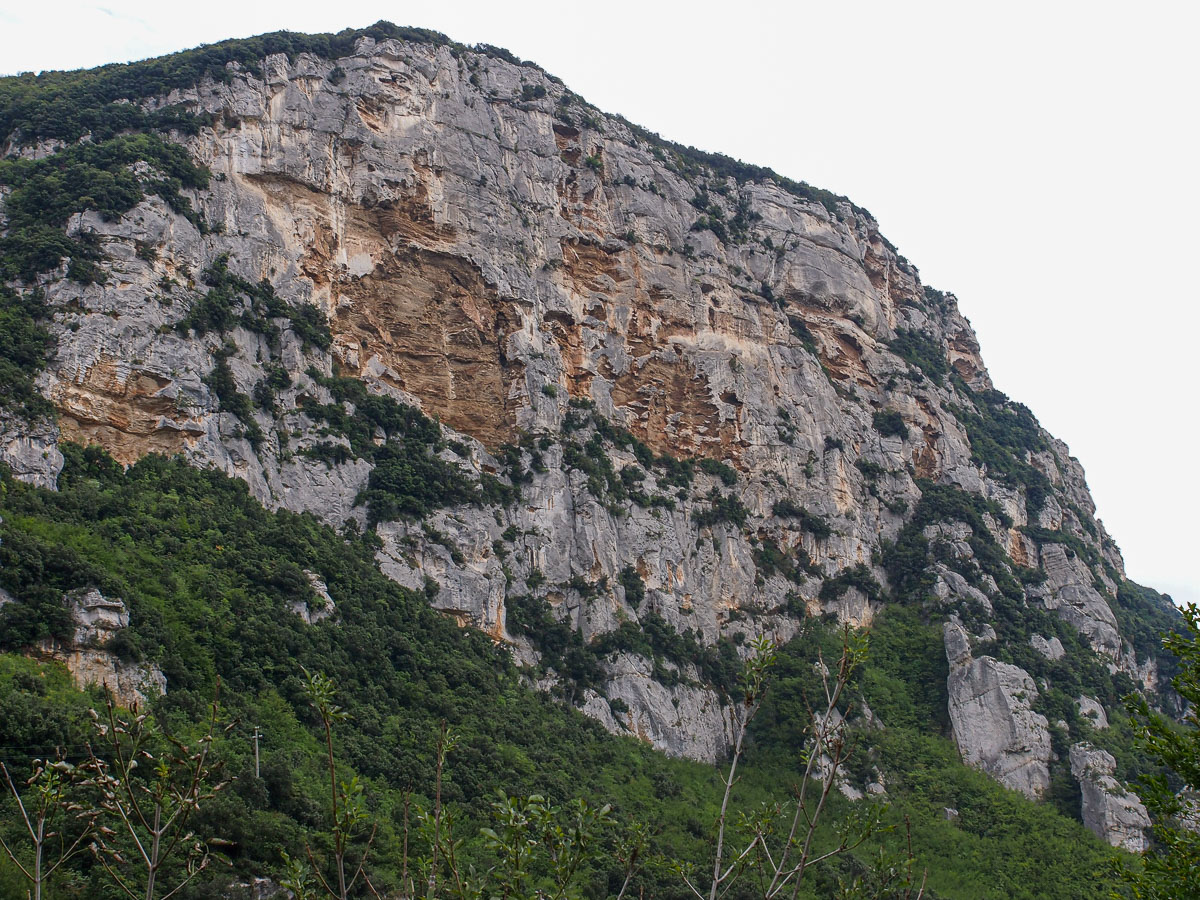 PA101960.jpg