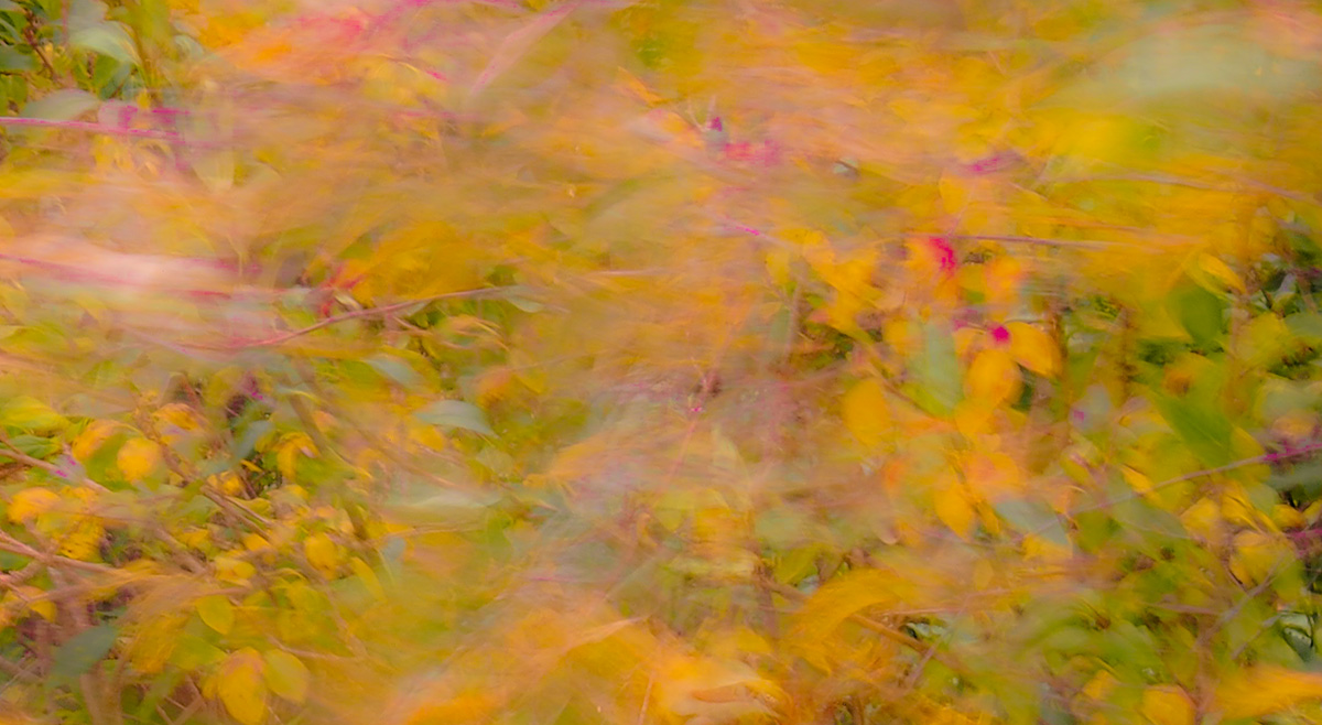 PA130020-Edit-3.jpg