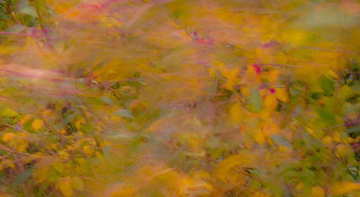 PA130020-Edit.jpg