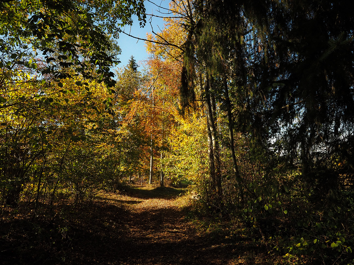PA140044.jpg