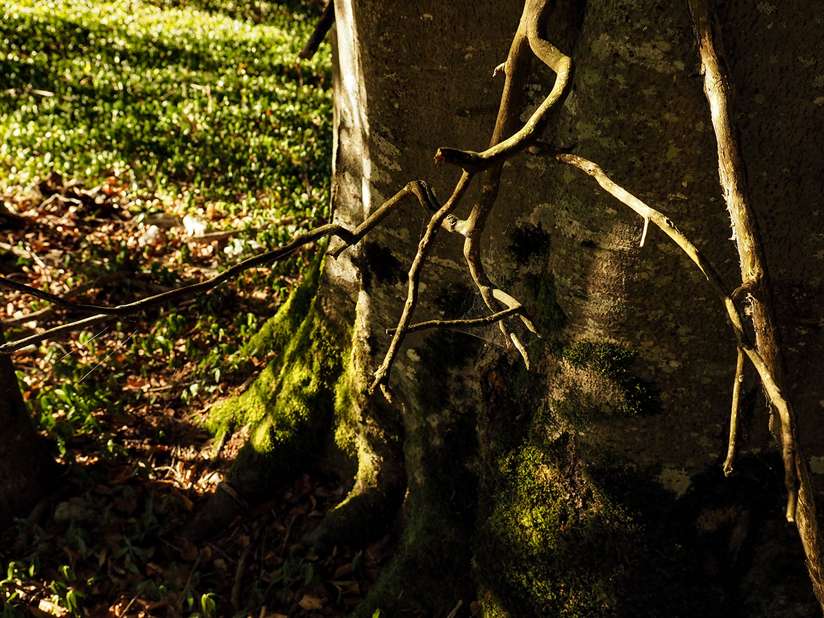 PA140214.jpg