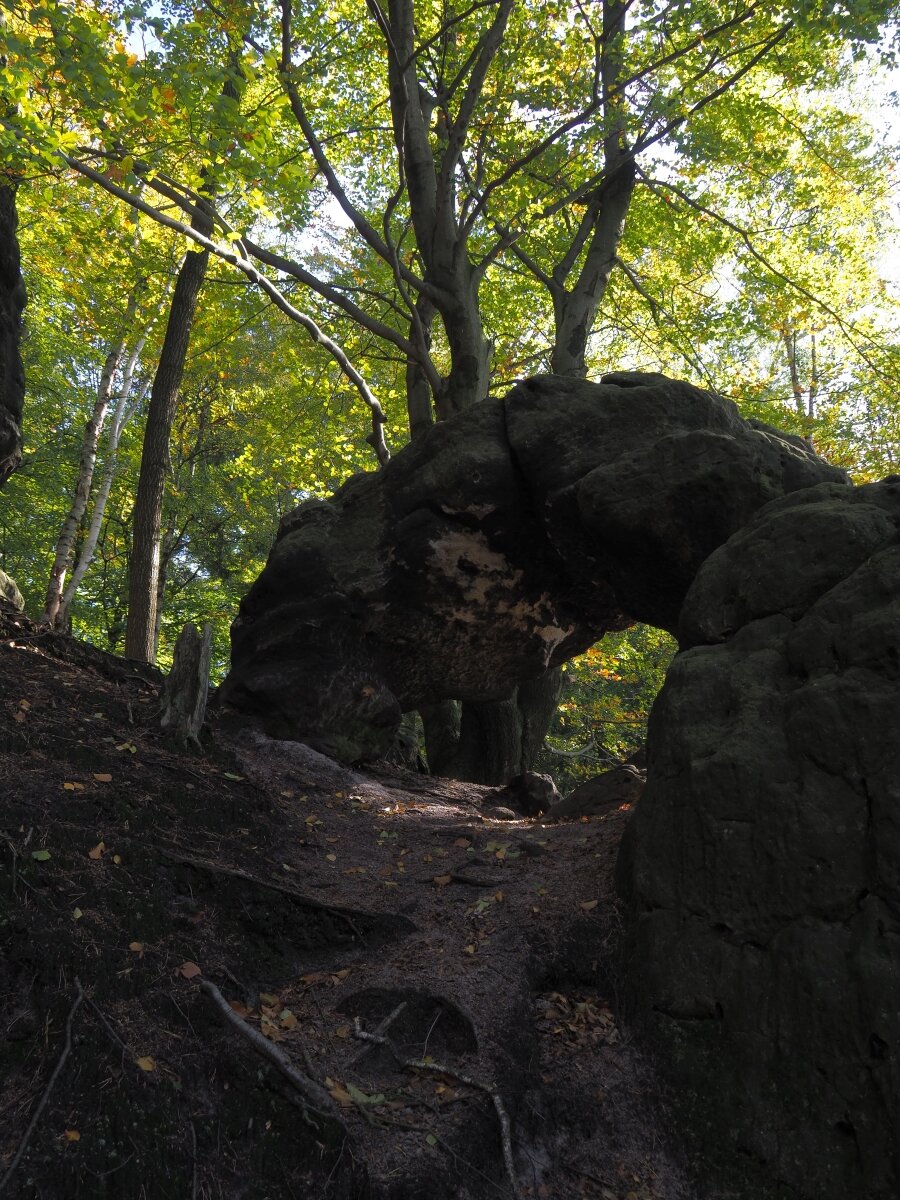 PA163533.JPGn.JPG