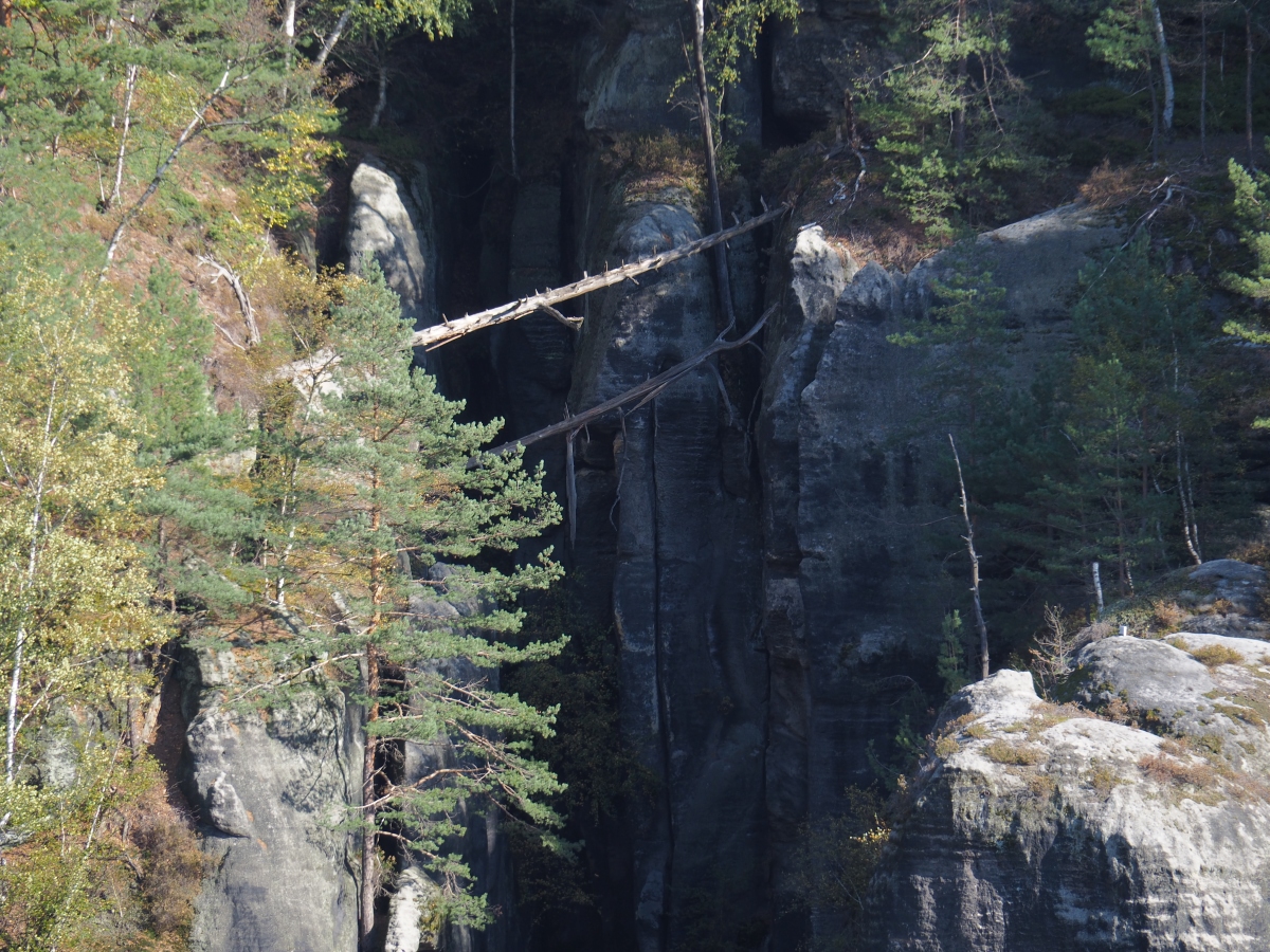 PA163578.JPGn.JPG