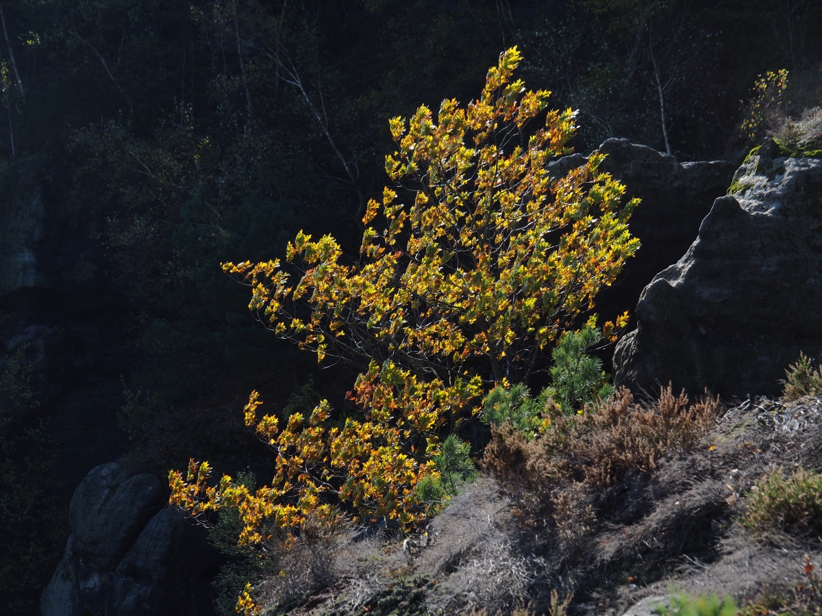 PA163585.JPGn.JPG