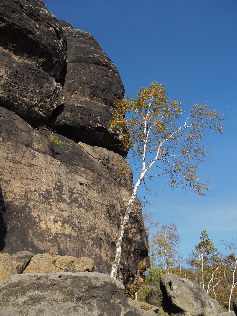 PA163591.JPGn.JPG