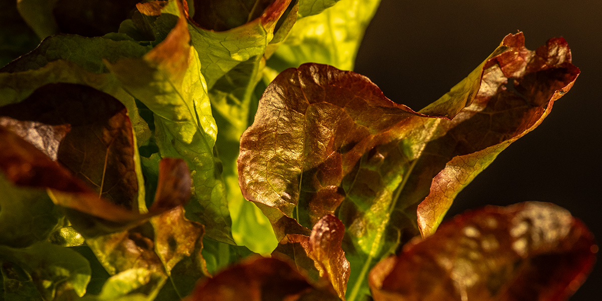 PA170023-Edit-2.jpg