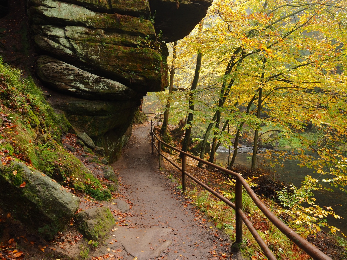 PA181018n.jpg